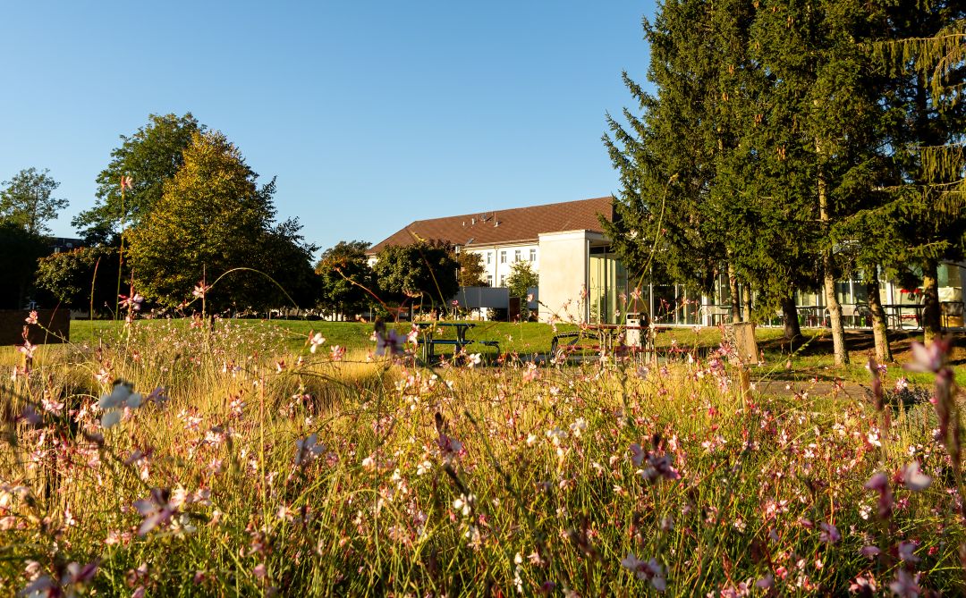 Hochschulscout Stendal